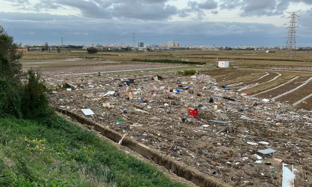 La descoordinació arriba al desastre de l’Albufera