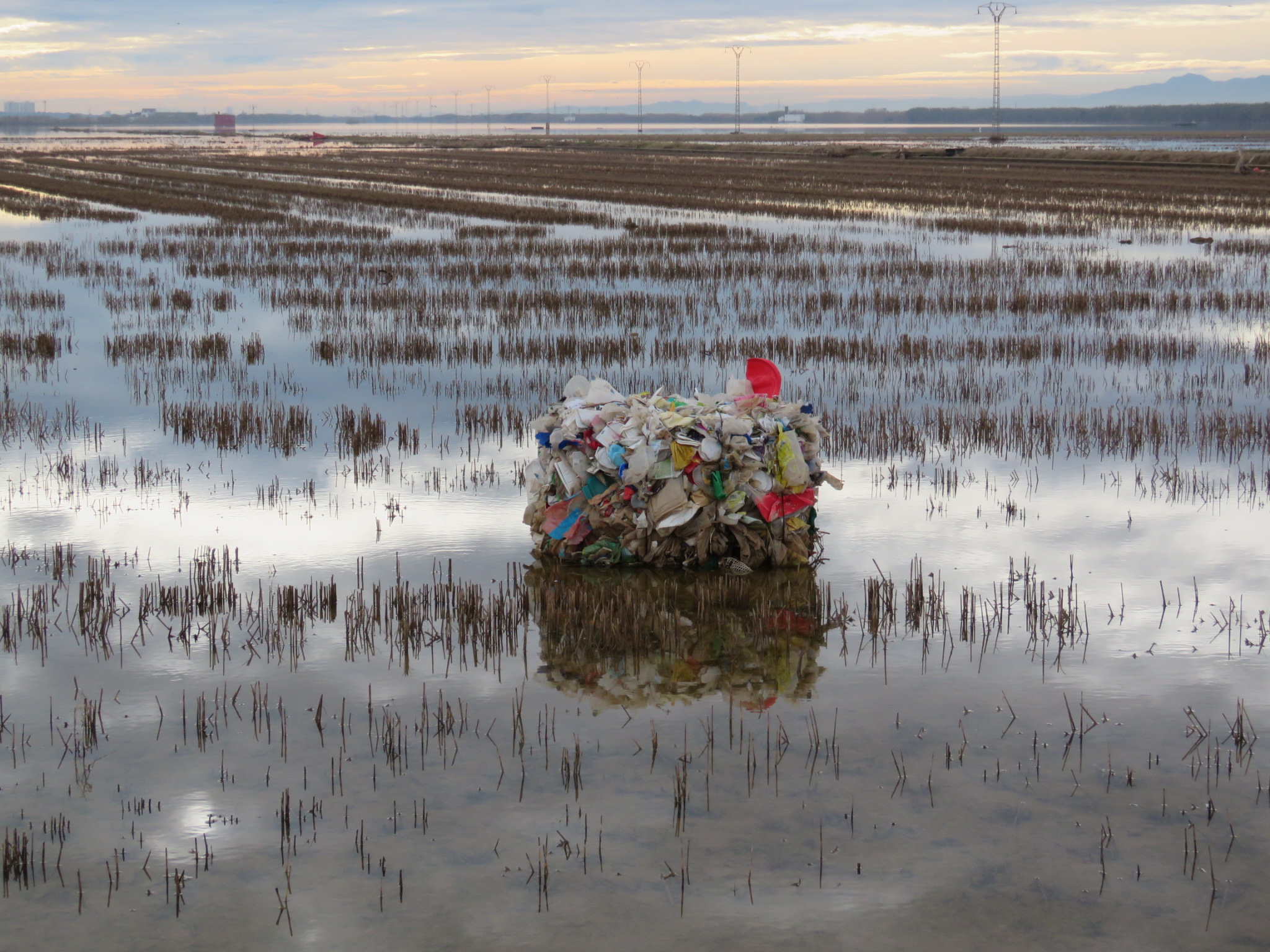 plastic marjal albufera dana