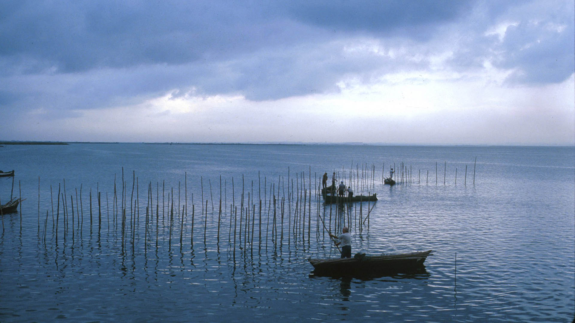 Albufera-pesca-ajuntamentvalencia