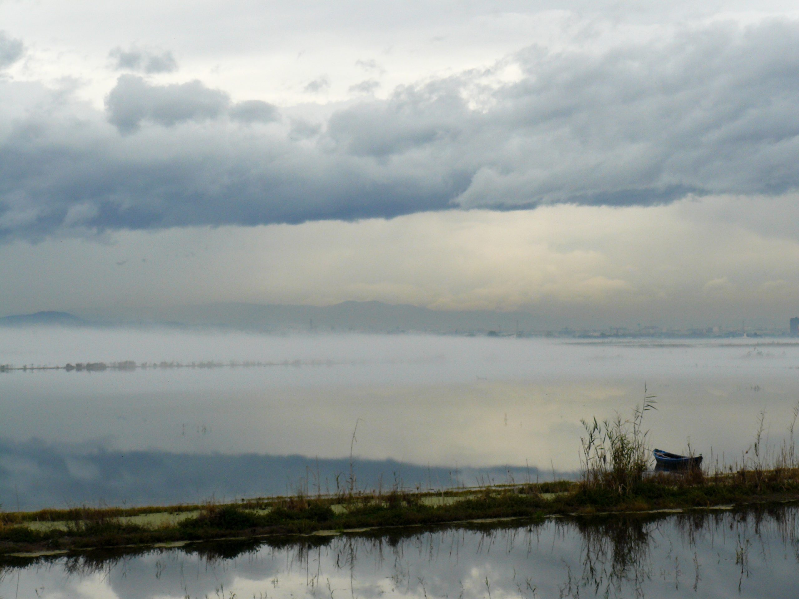 albufera boira hivern marjal
